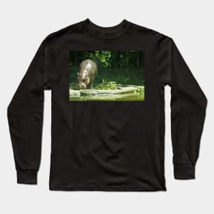 Pygmy Hippo Long Sleeve T-Shirt